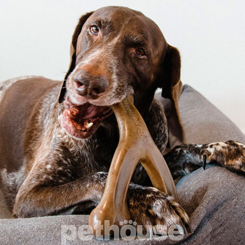 Benebone Wishbone Bacon Жувальна іграшка зі смаком бекону для собак