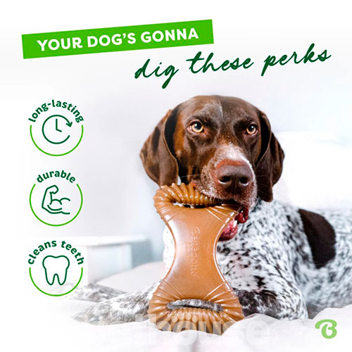 Benebone Dental Chew Bacon Жувальна іграшка зі смаком бекону для собак