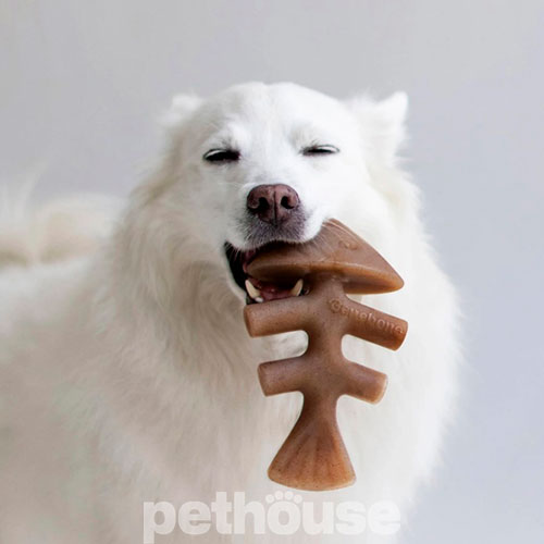 Benebone Fishbone Salmon Жувальна іграшка зі смаком лосося для собак