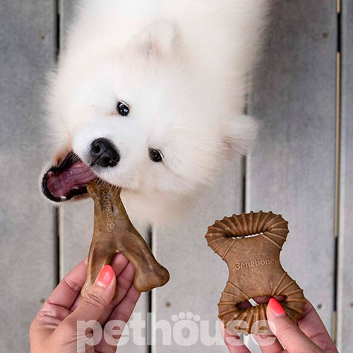 Benebone Tiny 2-Pack Dental Chew & Wishbone Набір жувальних іграшок зі смаком бекону для собак