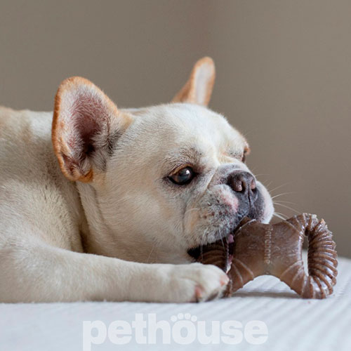 Benebone Tiny 2-Pack Dental Chew & Wishbone Набір жувальних іграшок зі смаком бекону для собак