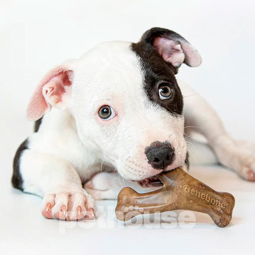 Benebone Puppy Pack Dental Chew & Wishbone Набір жувальних іграшок зі смаком бекону для цуценят
