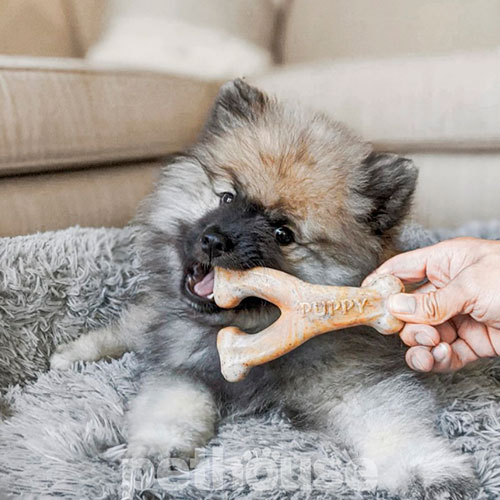 Benebone Puppy Pack Dental Chew & Wishbone Набір жувальних іграшок зі смаком бекону для цуценят