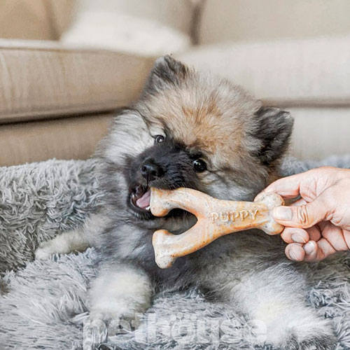 Benebone Puppy Wishbone Bacon Жувальна іграшка зі смаком бекону для цуценят