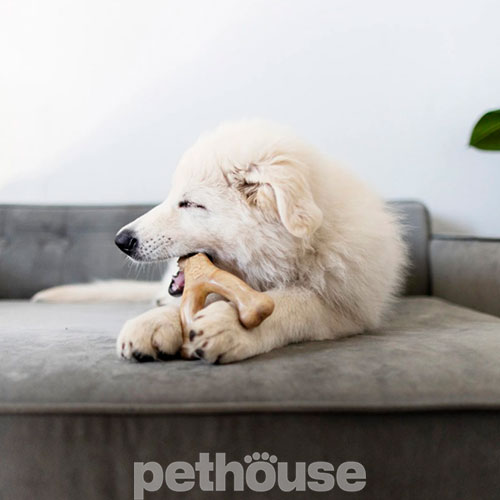 Benebone Puppy Wishbone Bacon Жувальна іграшка зі смаком бекону для цуценят