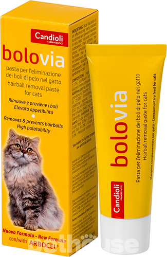 Боло Виа Паста для кошек