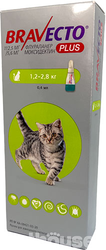 Бравекто Плюс Краплі від бліх, кліщів і глистів для котів вагою від 1,2 кг до 2,8 кг