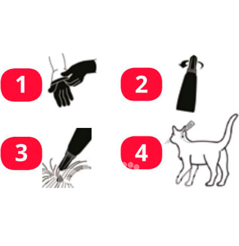 Бравекто Плюс Краплі від бліх, кліщів і глистів для котів вагою від 2,8 кг до 6,26 кг Бравекто Плюс Краплі від бліх, кліщів і глистів для котів вагою від 2,8 кг до 6,26 кг