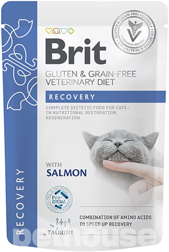 Brit VD Recovery Cat Pouch