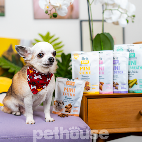 Brit Care Mini Treats Mood Лакомства для уменьшения стресса и тревожности у собак мелких пород Brit Care Mini Treats Mood Лакомства для уменьшения стресса и тревожности у собак мелких пород
