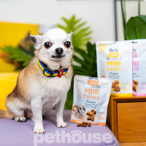 Brit Care Mini Treats Think Лакомства для поддержания мозговой активности у собак мелких пород