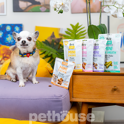 Brit Care Mini Treats Liver Detox Лакомство для детоксикации и поддержания здоровья печени у собак мелких пород Brit Care Mini Treats Liver Detox Лакомство для детоксикации и поддержания здоровья печени у собак мелких пород