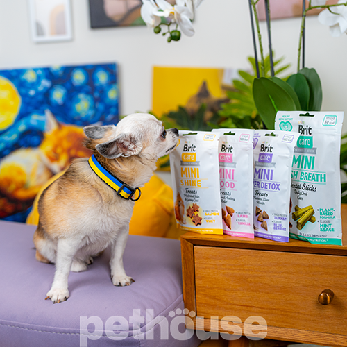 Brit Care Mini Treats Liver Detox Лакомство для детоксикации и поддержания здоровья печени у собак мелких пород Brit Care Mini Treats Liver Detox Лакомство для детоксикации и поддержания здоровья печени у собак мелких пород