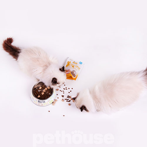 Brit Care Cat Raw Treat freeze-dried Hair&Skin Ласощі для здоров’я шкіри та шерсті у котів