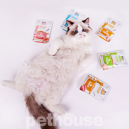 Brit Care Soup Суп з індичкою для котів