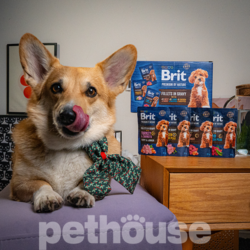 Brit Premium Multipack Філе в соусі для собак