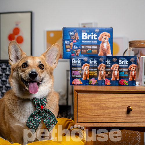 Brit Premium Multipack Філе в соусі для собак