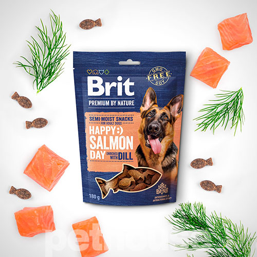 Brit Premium by Nature Semi-moist Snacks Salmon with Dill