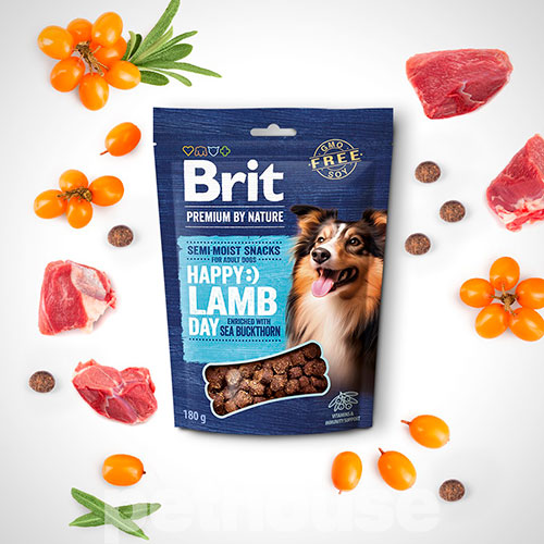Brit Premium by Nature Semi-moist Snacks Lamb with Sea Buckthorn