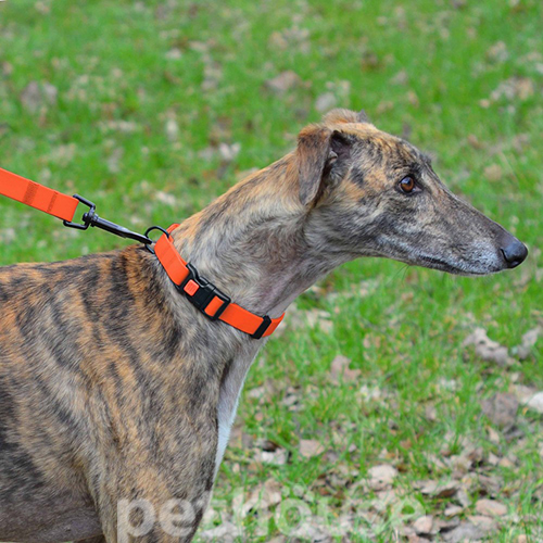 Bronzedog Водовідштовхувальний повідець для собак, помаранчевий, фото 6