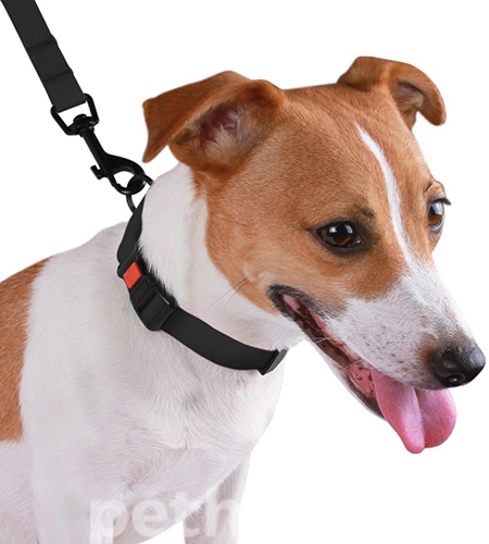 Bronzedog Водовідштовхувальний нашийник для собак, чорний, фото 5