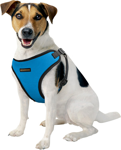 Bronzedog Sport Vest Шлея для собак мелких пород, голубая, фото 7