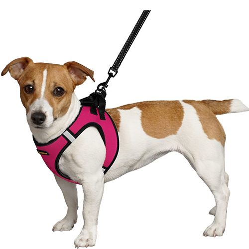 Bronzedog Sport Vest Шлея для собак дрібних та середніх порід, рожева, фото 3