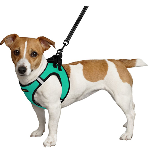 Bronzedog Sport Vest Шлея для собак дрібних та середніх порід, бірюзова, фото 3