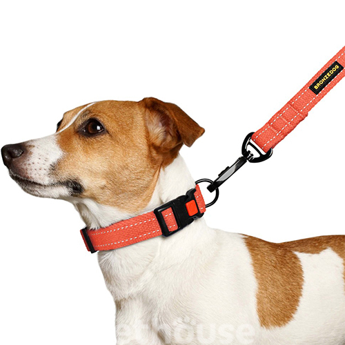Bronzedog Ошейник брезентовый для собак, оранжевый, фото 6