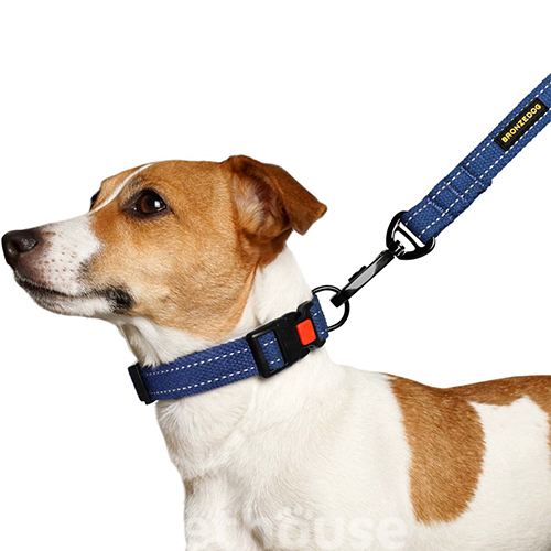 Bronzedog Нашийник брезентовий для собак, синій, фото 6