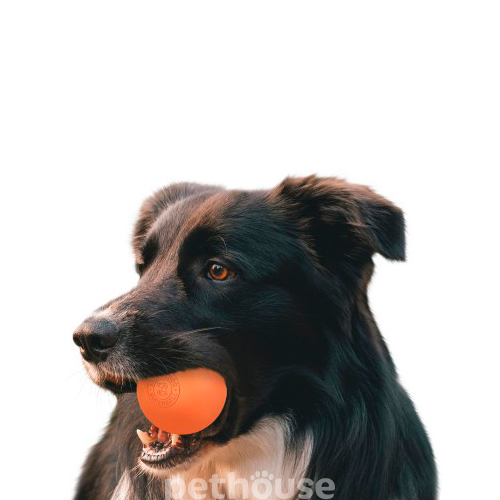 Bronzedog Superball Литой мяч для собак, 6 см, фото 3