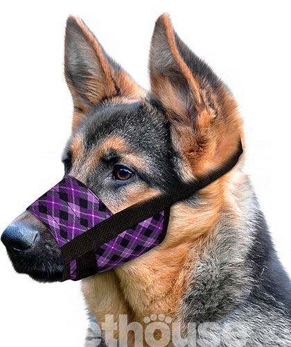 Bronzedog Намордник нейлоновый для собак, фиолетовый