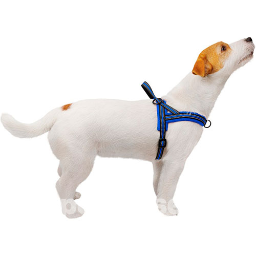 Bronzedog Mesh Скандинавская шлея для собак, синяя, фото 4