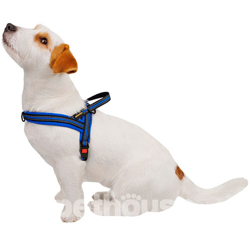 Bronzedog Mesh Скандинавська шлея для собак, синя, фото 5