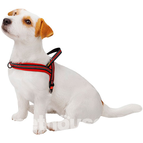 Bronzedog Mesh Скандинавская шлея для собак, красная, фото 5