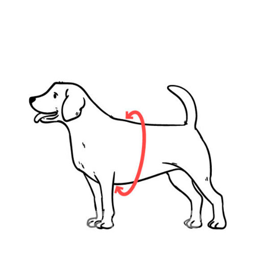 Bronzedog Mesh Скандинавская шлея для собак, красная, фото 6