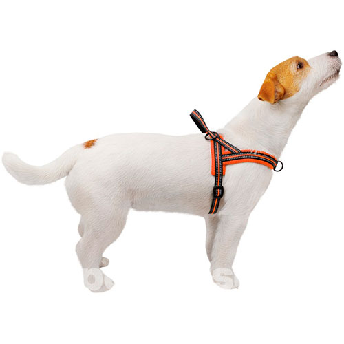 Bronzedog Mesh Скандинавська шлея для собак, помаранчева, фото 4