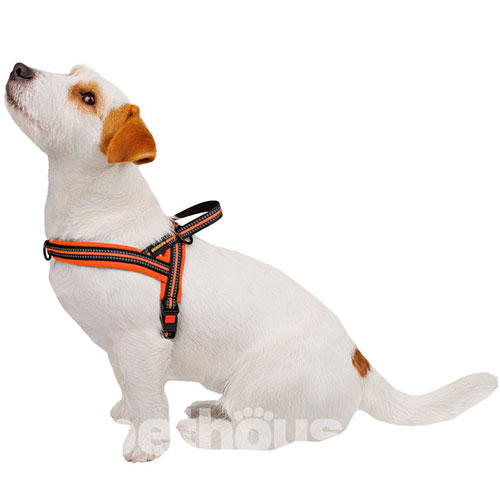 Bronzedog Mesh Скандинавская шлея для собак, оранжевая, фото 5