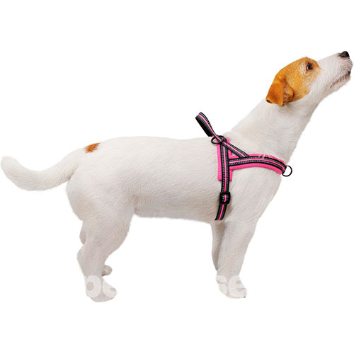 Bronzedog Mesh Скандинавская шлея для собак, розовая, фото 4