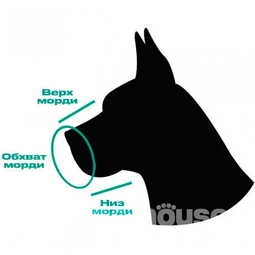 Bronzedog Mesh Универсальный намордник для собак, синий, фото 6