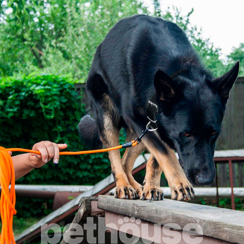 Bronzedog Active Тренировочный поводок для собак, оранжевый, фото 7