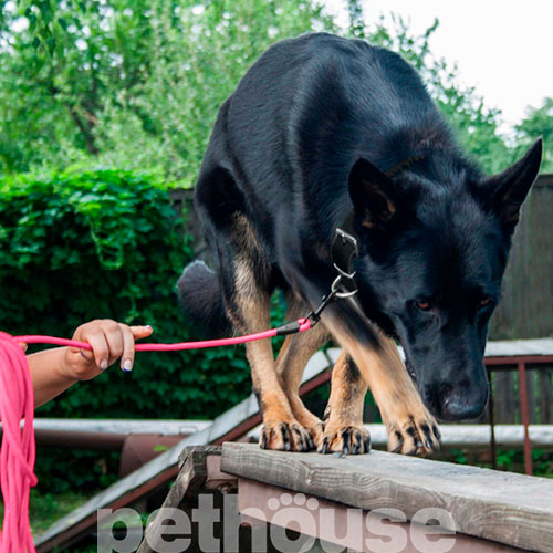 Bronzedog Active Тренировочный поводок для собак, розовый, фото 8