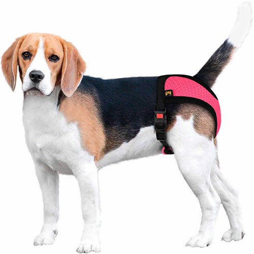 Bronzedog Mesh Труси гігієнічні для собак, рожеві, фото 10