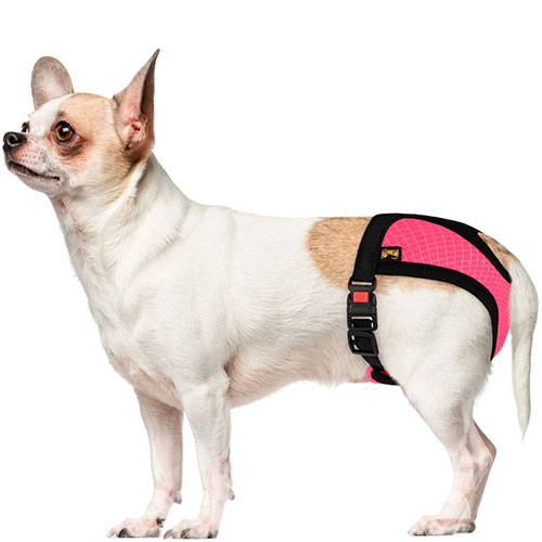 Bronzedog Mesh Труси гігієнічні для собак, рожеві, фото 9
