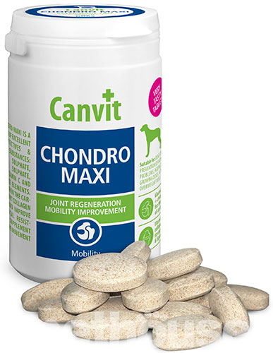 Canvit Chondro Maxi, фото 2