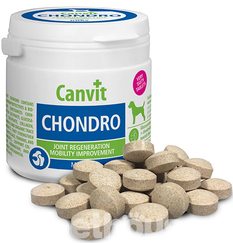 Canvit Chondro