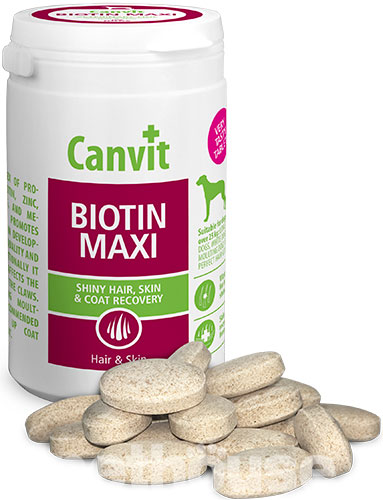 Canvit Biotin Maxi, фото 2