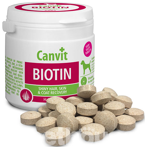 Canvit Biotin, фото 2
