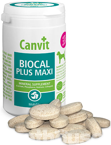 Canvit Biocal Plus Maxi , фото 2