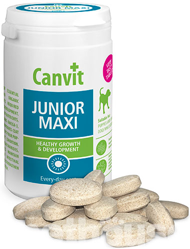 Canvit Junior Maxi, фото 2